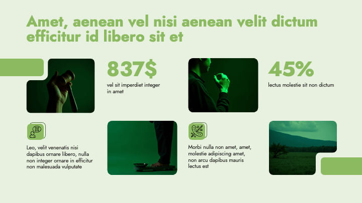 MellowForm Green Wellness slide 8